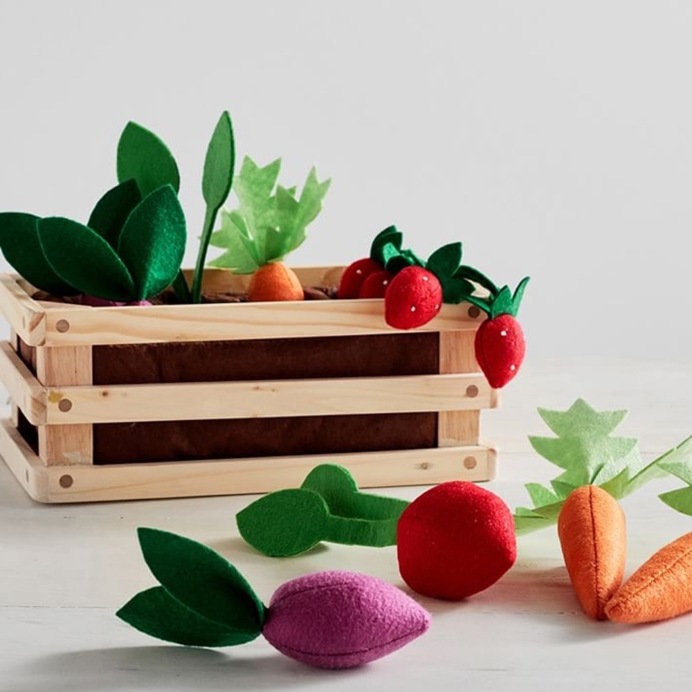 Pottery Barn Kids Soft Veggie Garden Set